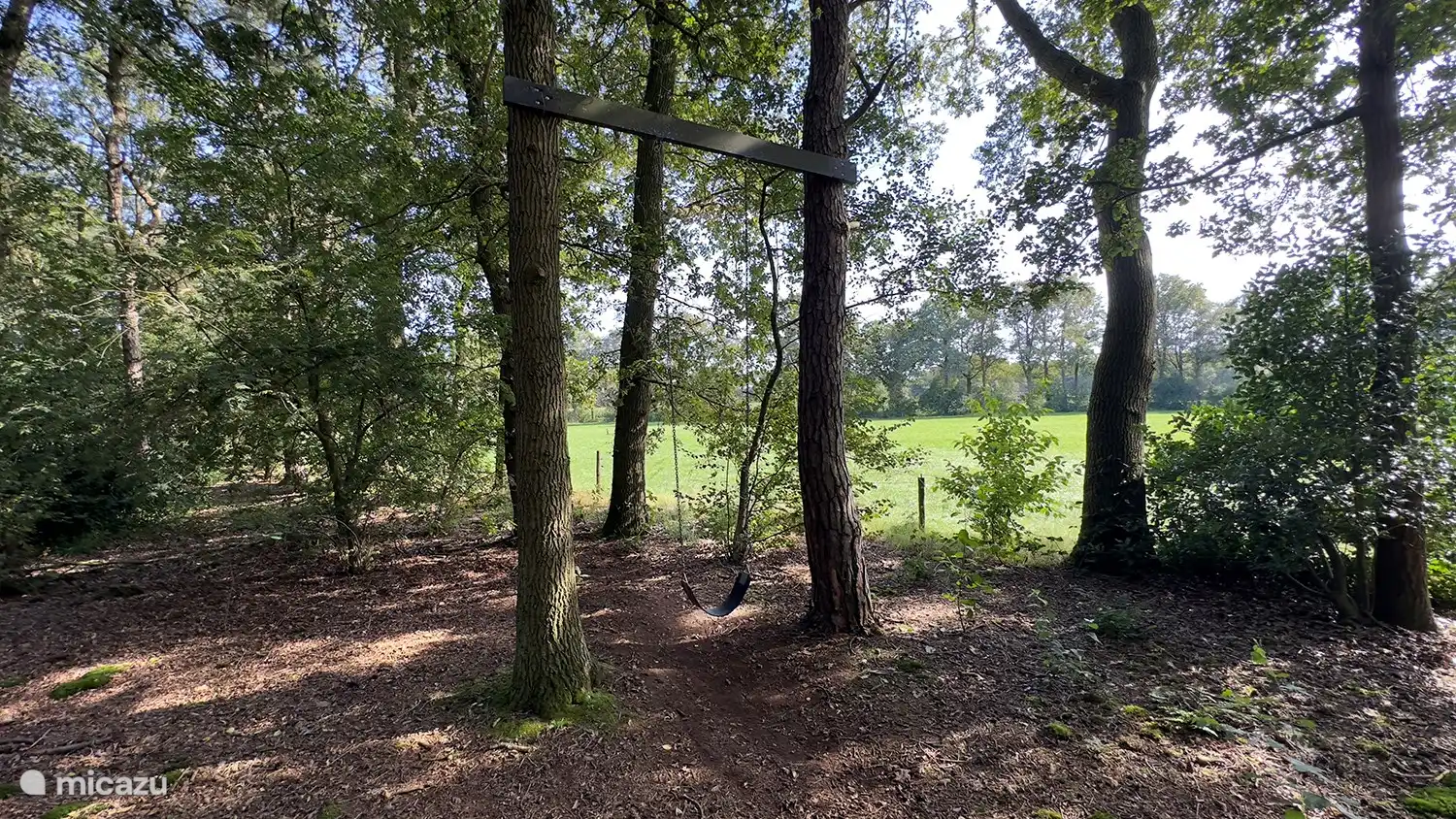 Forêt privée de 4000 m2 à côté de la cabane avec balançoire et slackline.