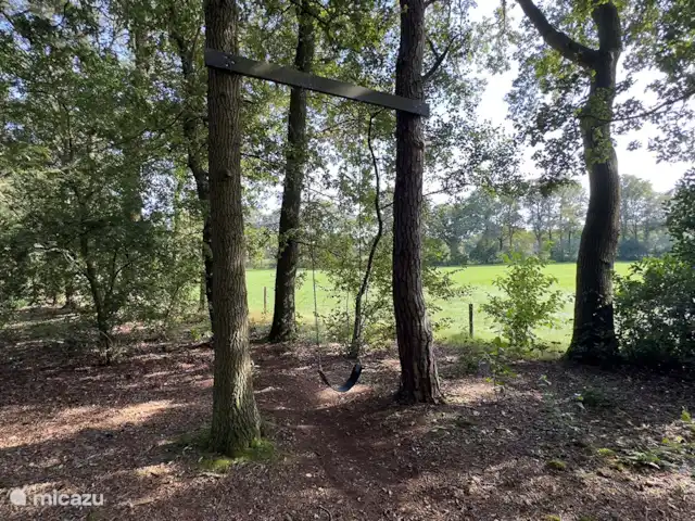 Cabane nature | Pays-Bas, Overijssel, Lettele - maison de vacances Forêt privée de 4000 m2 à côté de la cabane avec balançoire et slackline.