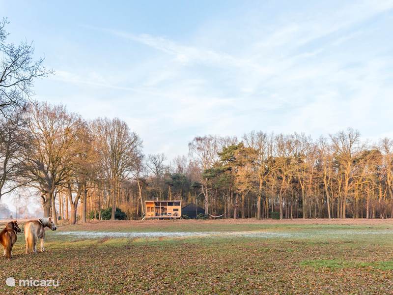 Casa vacacional Países Bajos, Overijssel, Lettele Casa vacacional cabaña en la naturaleza