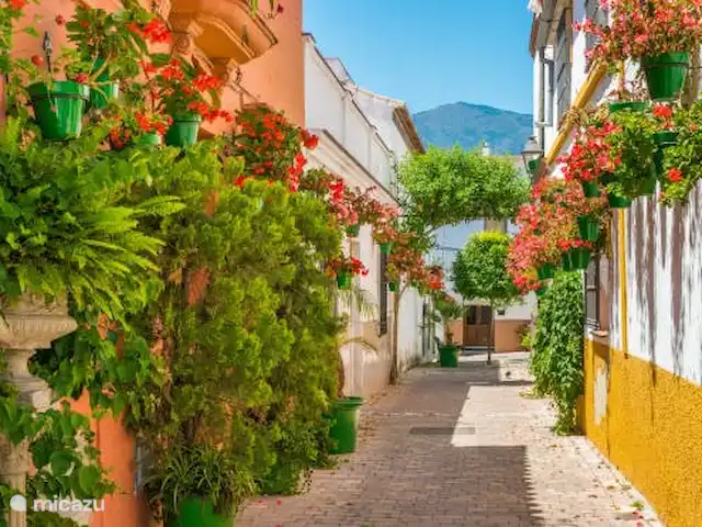 appartement huren in Spanje, Costa del Sol, Estepona – Apartment Alba