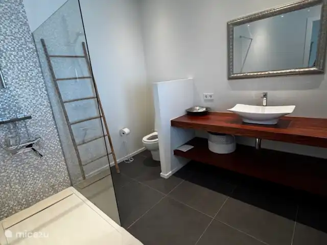 Casa Santa Maya en España, Costa Blanca, Benitachell - villa Baño privado con inodoro privado, ducha y lavabo