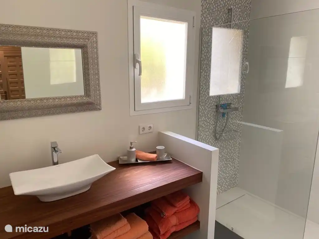 Ensuite badkamer met douche en wasbak