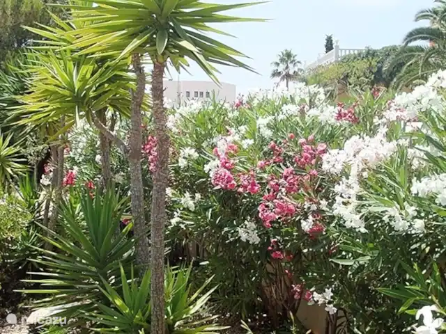 Casa Santa Maya en España, Costa Blanca, Benitachell - villa Jardín con flores