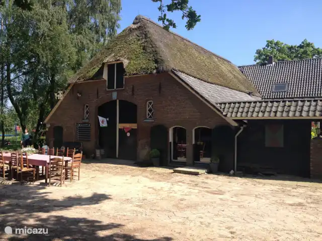 Buffel huren in Nederland, Gelderland, Hengelo - tiny house Boerderij Den Branderhorst