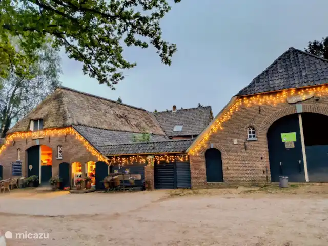 Buffel huren in Nederland, Gelderland, Hengelo - tiny house Dit is onze boerderij al 160 jaar in de familie!
We hebben een kleine melkveehouderij, en bij ons kun je een workshop koe knuffelen reserveren.
Wij wonen in de authentieke gezellige Achterhoek in het Oosten van Nederland, dichtbij Duitsland.
Hier in de buurt zijn veel goede sfeervolle restaurants.