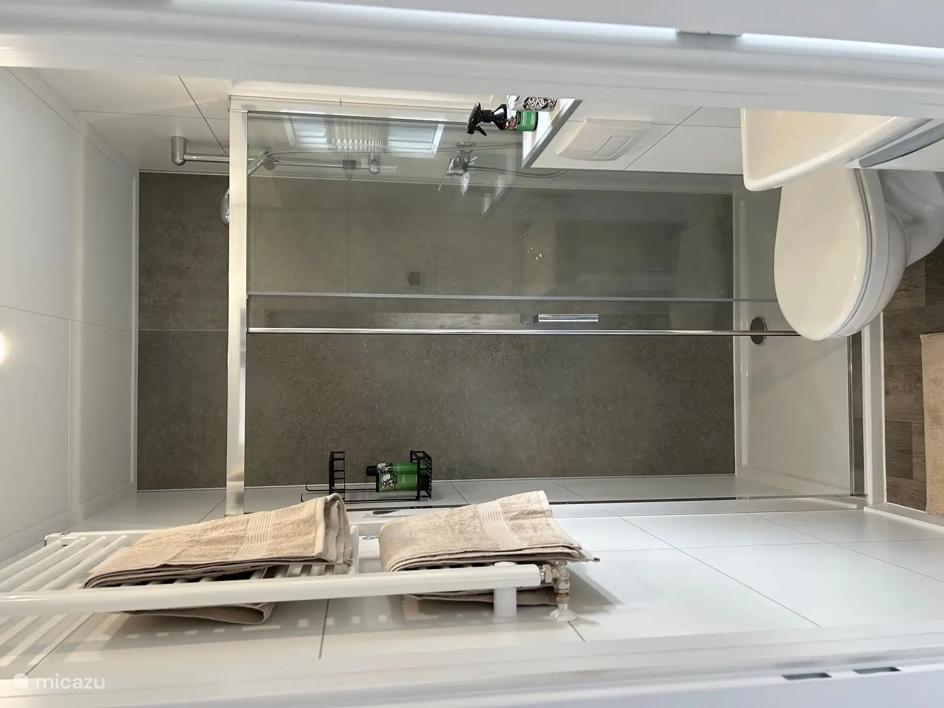 Bathroom with spacious shower, toilet and sink