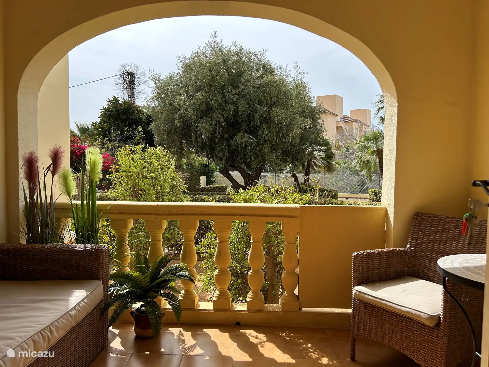 La terrasse donnant sur le jardin.