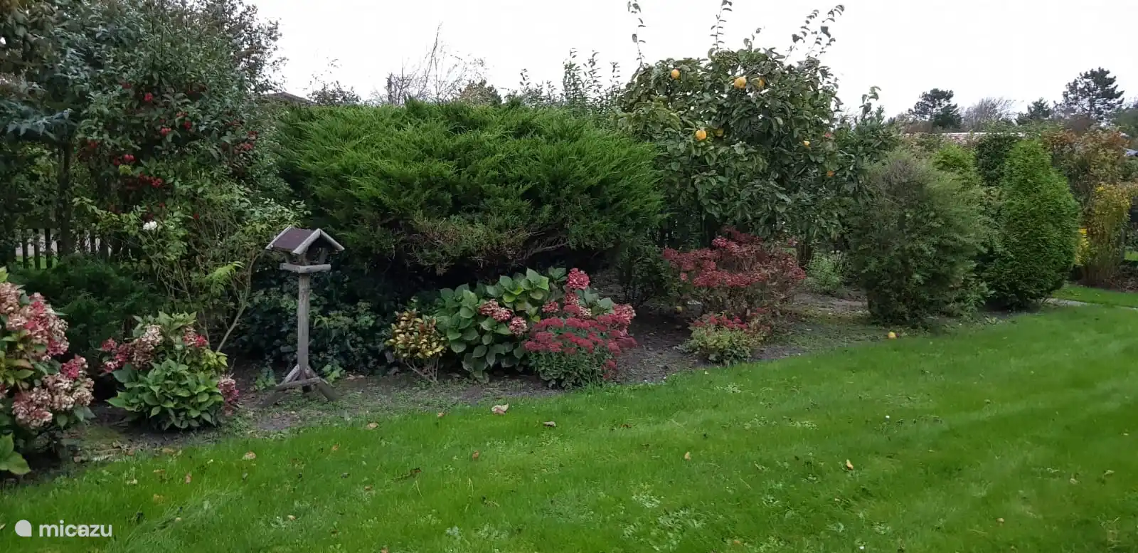 jardin devant la maison