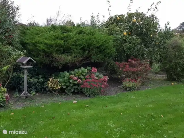 bungalow huren in Nederland, Noord-Holland, Julianadorp aan Zee – Bungalow Wind Rose voortuin van de woning