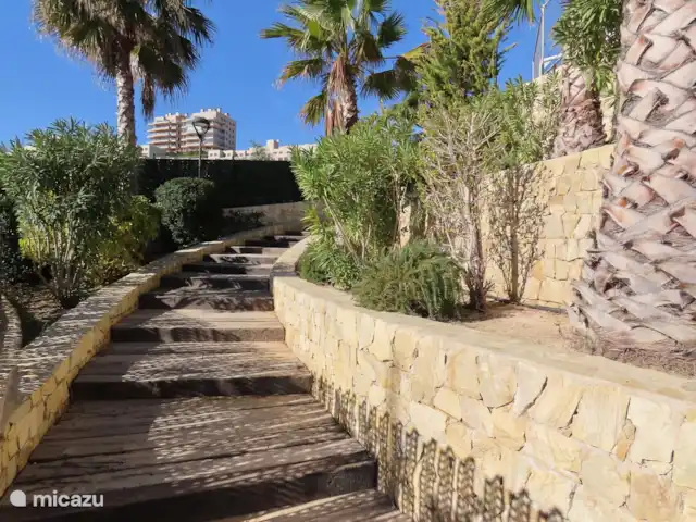 Plage Penthouse Mer Côte  | Espagne, Costa Blanca, Los Arenales del Sol - appartement Domaines généraux