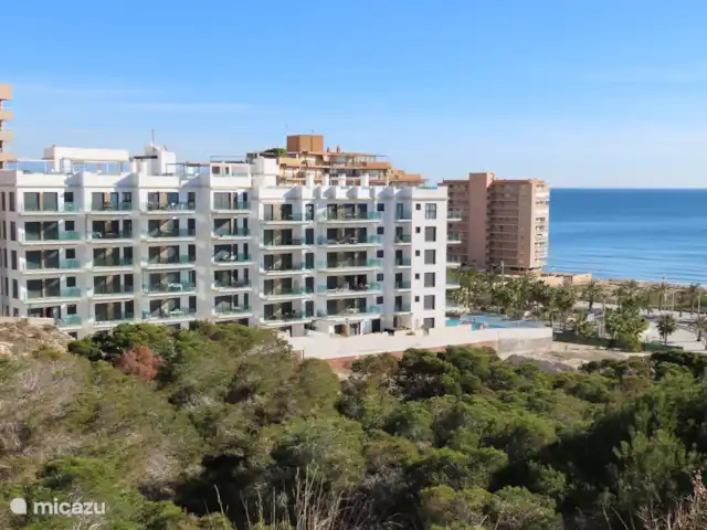 Plage Penthouse Mer Côte  | Espagne, Costa Blanca, Los Arenales del Sol - appartement Piscine communautaire, vue sur l'urbanisation.