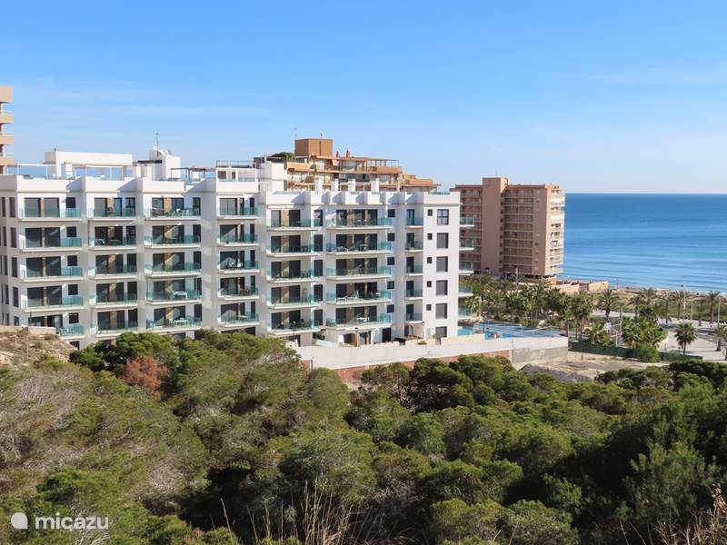 Vakantiehuis Spanje, Costa Blanca, Los Arenales del Sol Appartement Strand Penthouse Sea Coast 