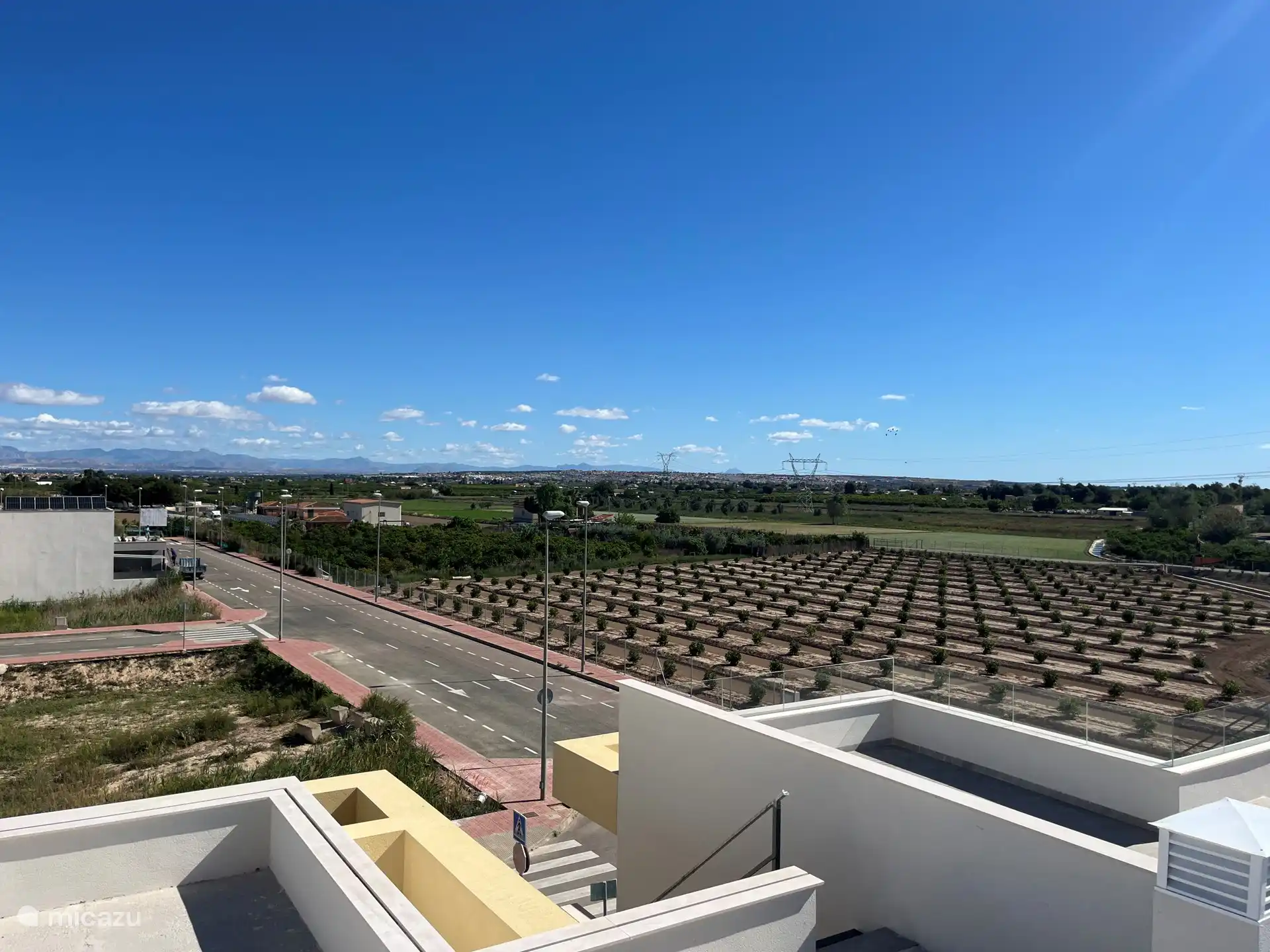 Blick vom Solarium auf die Orangenplantage