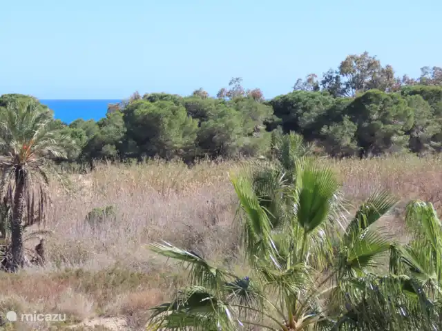 Villa sur la Plage El Pinet  | Espagne, Costa Blanca, La Marina del Pinet - villa Perspective