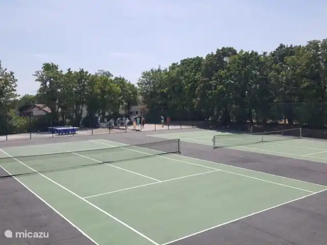 Village Le Chat 120 huren in Frankrijk, Charente, Écuras - bungalow Op park zijn twee tennisbanen