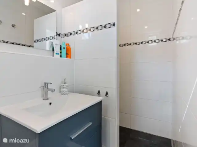 Village Le Chat 120 huren in Frankrijk, Charente, Écuras - bungalow Badkamer met inloopdouche, wastafel en toilet