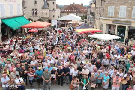 La ville d'Arnay-le-Duc