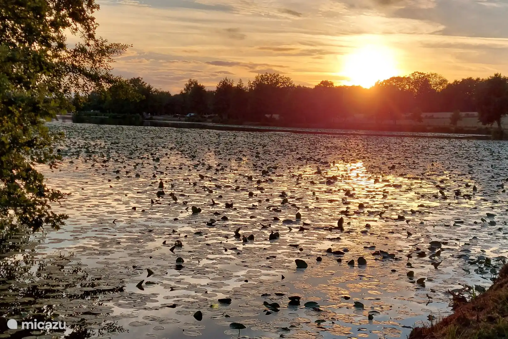 Direkter Zugang zum l'Etang Fouché von der Gîte aus