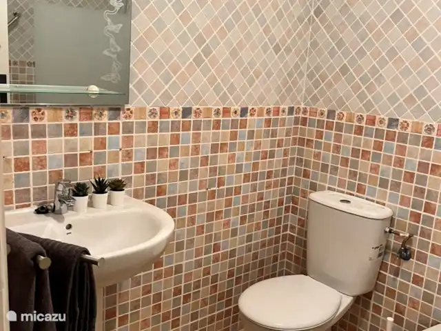 Location de Vacances Espagne, Costa Blanca, Rojales, appartement - Casa Rio Salle de bain Casa Rio