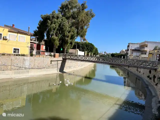 Location de Vacances Espagne, Costa Blanca, Rojales, appartement - Casa Rio Río de Segura