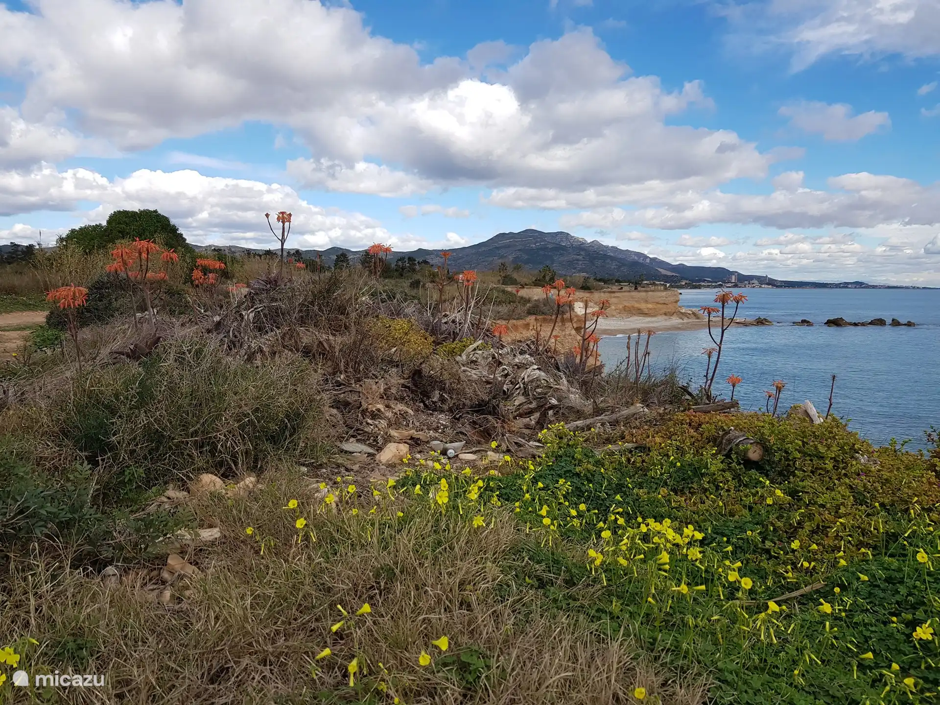 Cala de Sòl de Riu. A beautiful stretch of coast with lots of flowers and a walking path to the mouth of the Senia