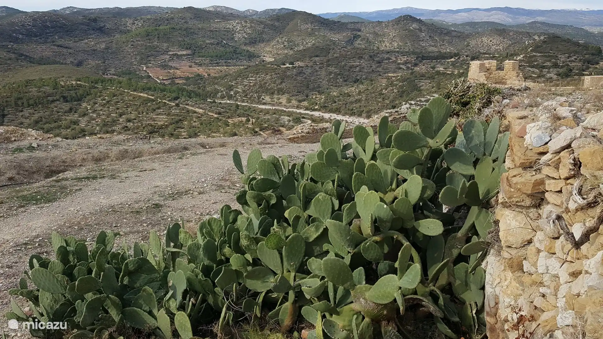 Hills near Cervera