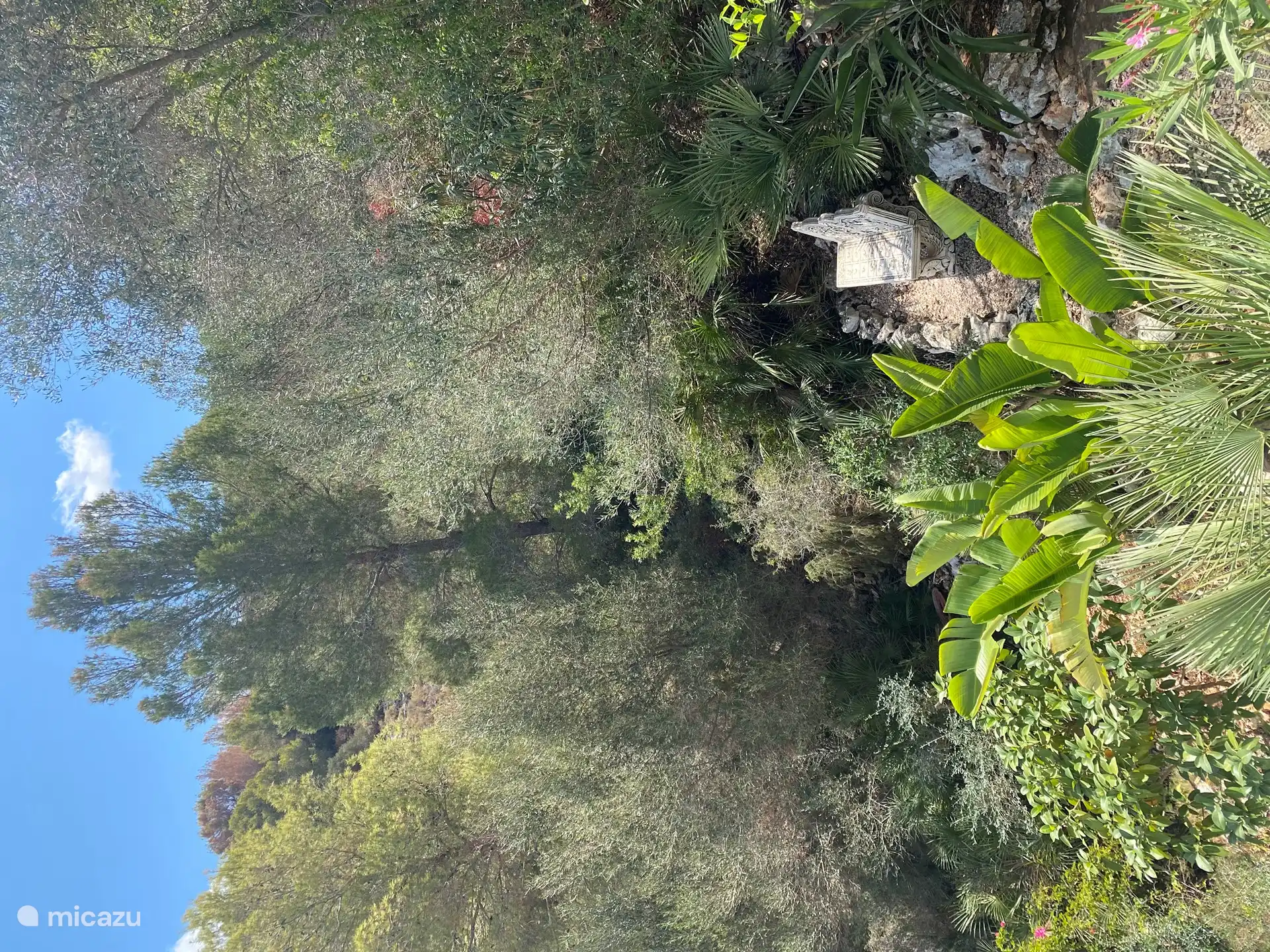 Vue de la terrasse, 1er étage, sur la cour arrière