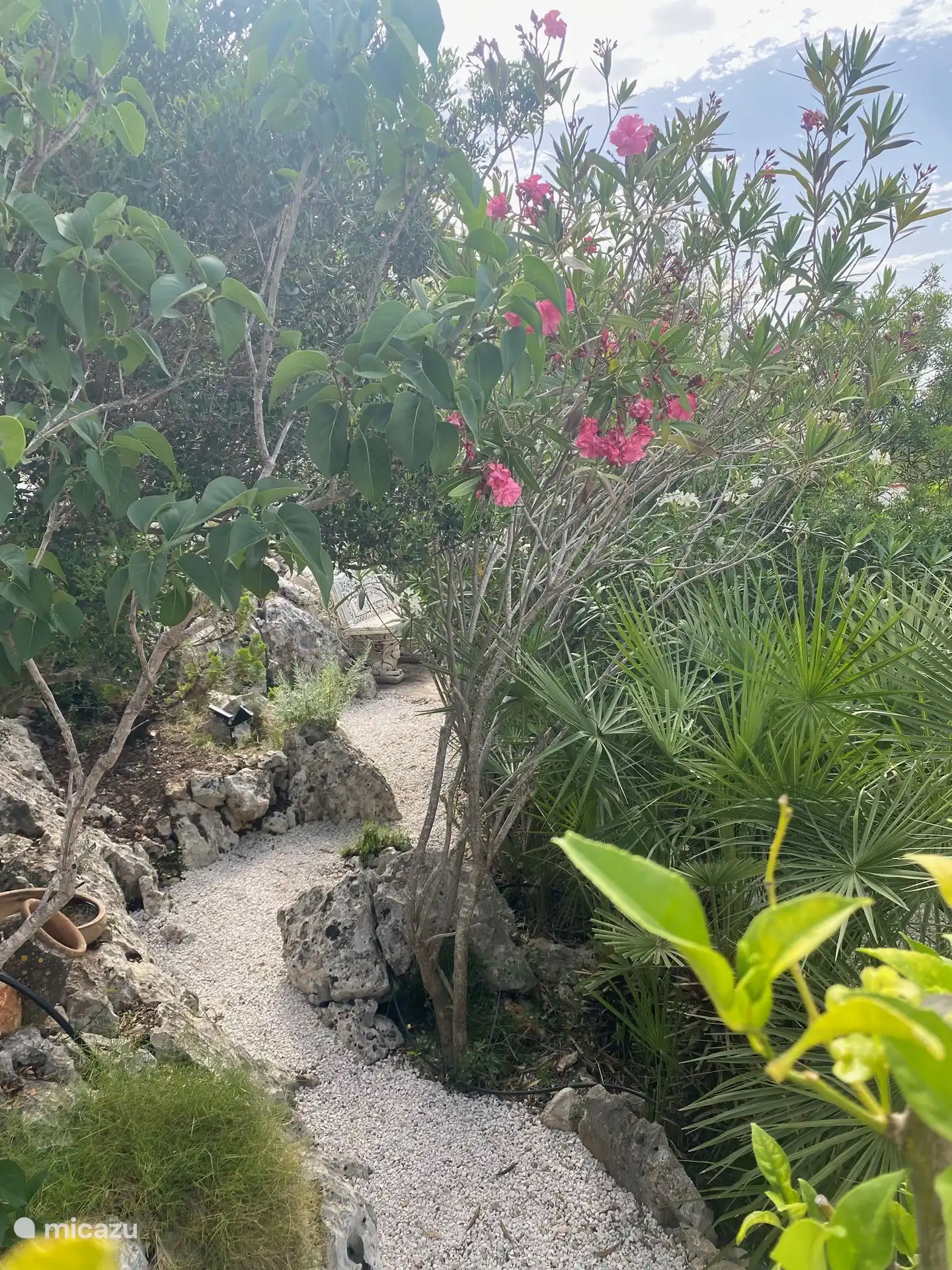Plusieurs sentiers pédestres à travers un jardin de rocaille et des coins salon 