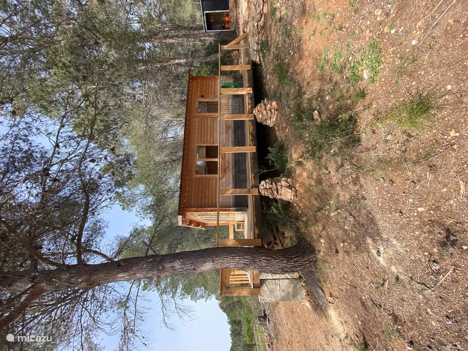 View from the orchard.