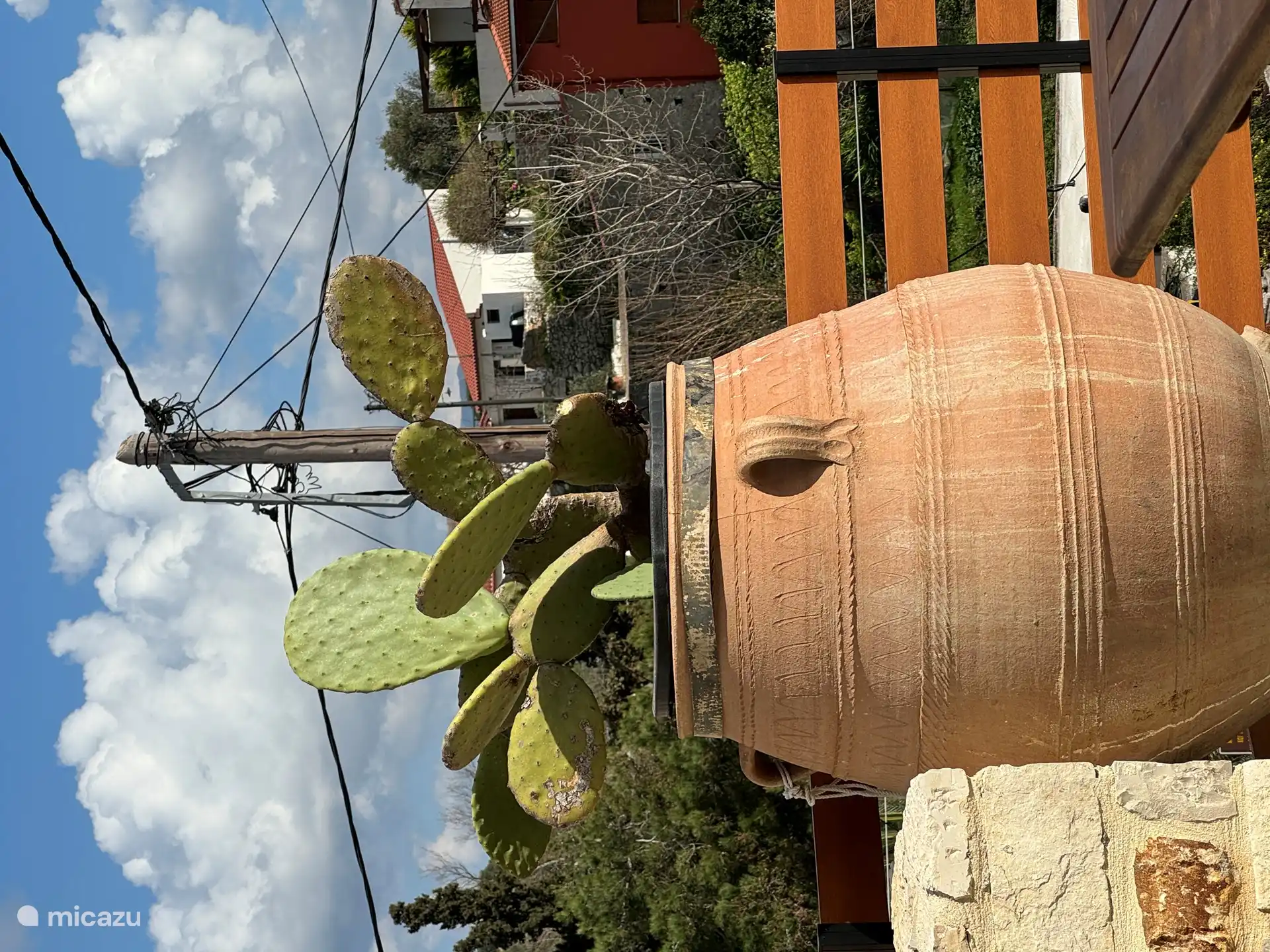 Kaktus, pass auf, er sticht! 