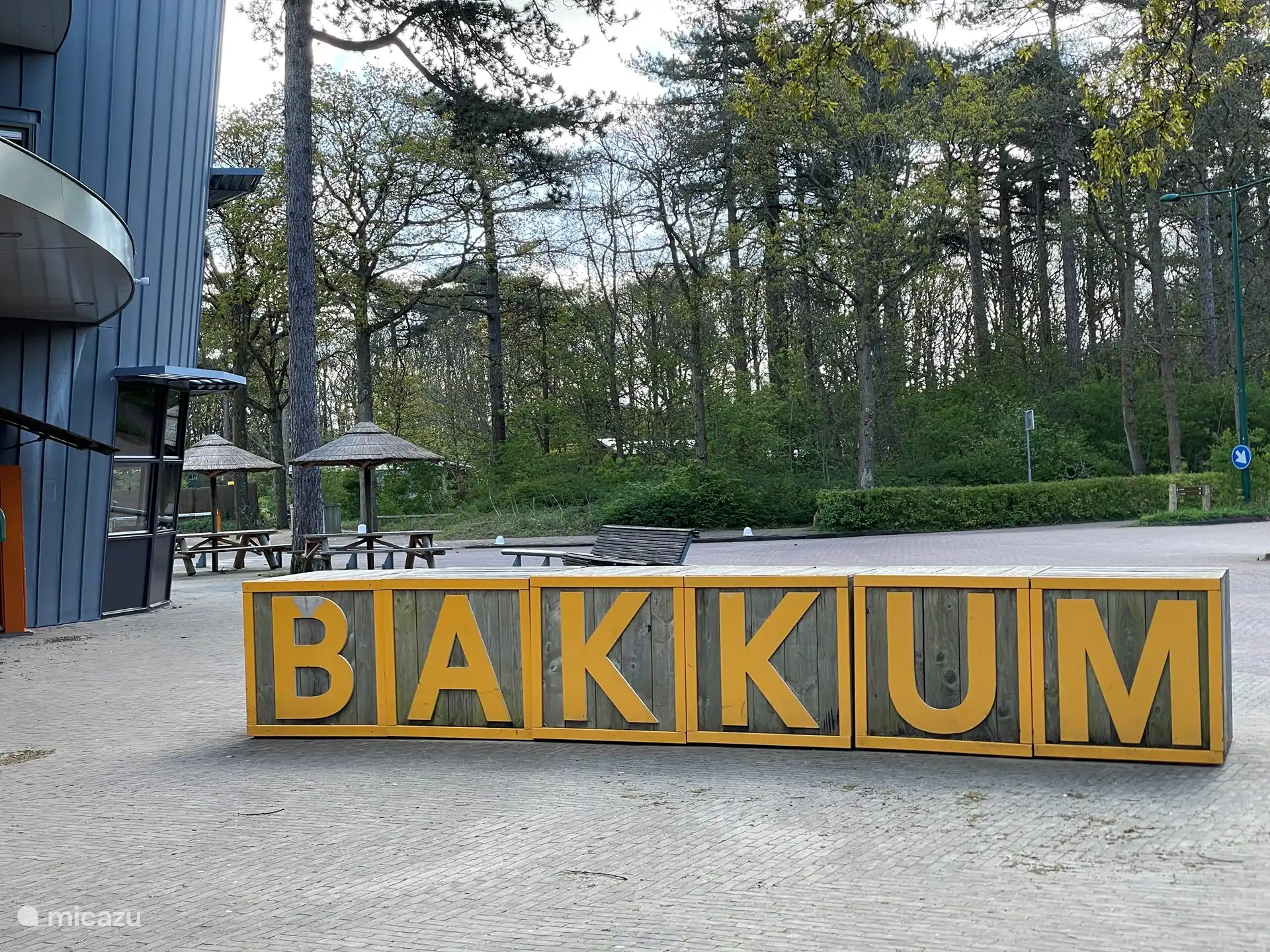 Branché et nostalgique, au milieu de la forêt, près de la mer et de la plage. C'est le camping le plus ancien des Pays-Bas : Camping Bakkum