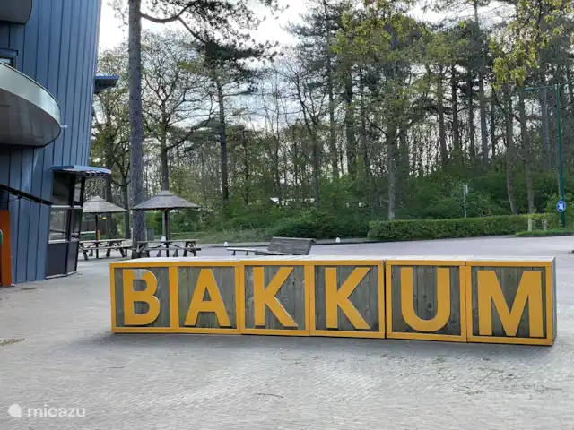 El cangrejo en Países Bajos, Holanda del Norte, Castricum - mobil home / caravana Moderno y nostálgico, en medio del bosque, cerca del mar y de la playa. Así es el camping más antiguo de los Países Bajos: Camping Bakkum