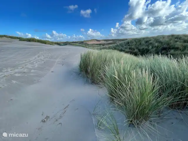 El cangrejo en Países Bajos, Holanda del Norte, Castricum - mobil home / caravana zona de dunas