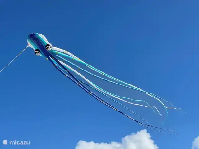 El cangrejo en Países Bajos, Holanda del Norte, Castricum - mobil home / caravana La playa siempre ofrece entretenimiento.