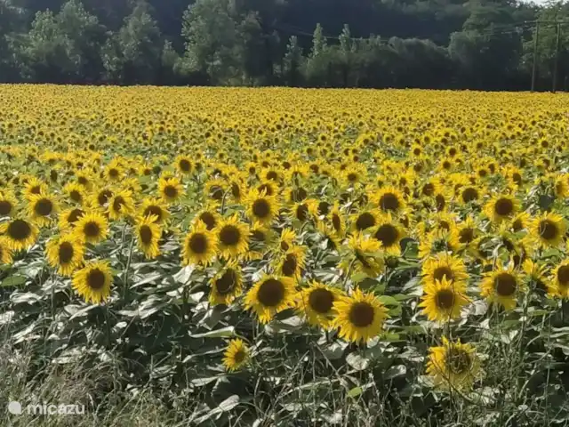 Le Sorbier | France, Charente, Chalais (Charente) - villa