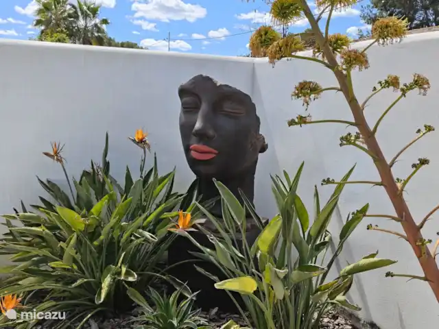 Location de Vacances Espagne, Costa Blanca, Jávea, pension / maison d’hôtes / chambre privée - Jávea; seaview, jacuzzi, pool Jardin