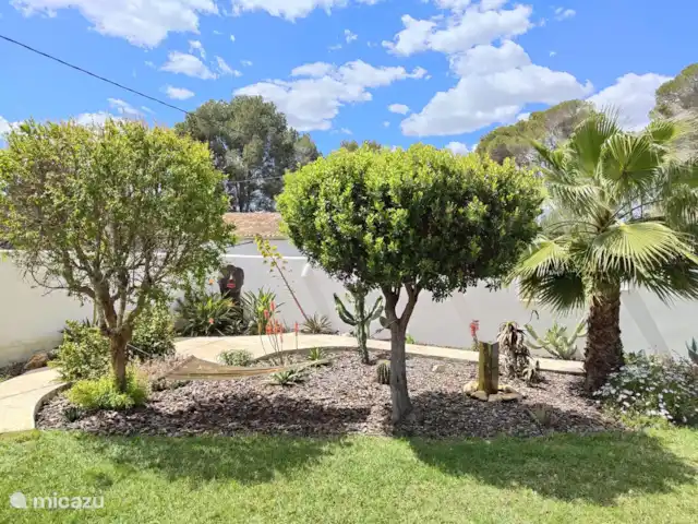 Location de Vacances Espagne, Costa Blanca, Jávea, pension / maison d’hôtes / chambre privée - Jávea; seaview, jacuzzi, pool Jardin