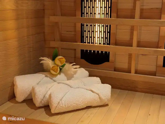 Chouette hulotte | Pays-Bas, Gueldre, Voorthuizen - maison de vacances Sauna infrarouge, merveilleux après une journée dans la nature.