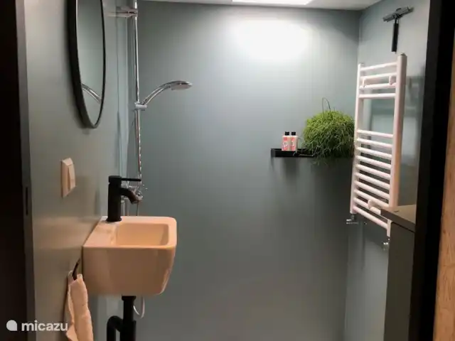Chouette hulotte | Pays-Bas, Gueldre, Voorthuizen - maison de vacances Douche.