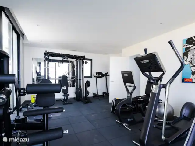 Luxury Villa Tomillo en España, Costa del Sol, Marbella - villa sala de fitness