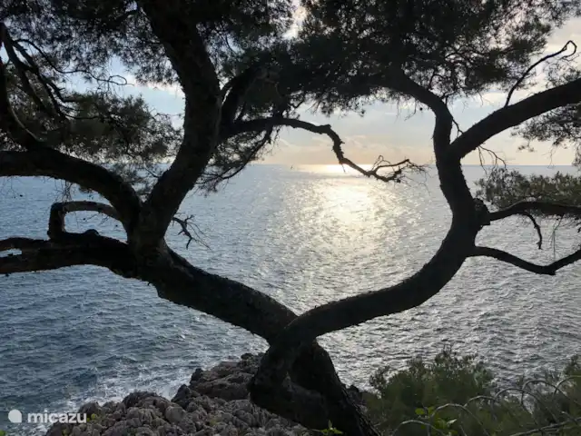 appartement huren in Italië, Ligurië, Olivetta san Michele – Ria De Middellandse zee op 25 minuten