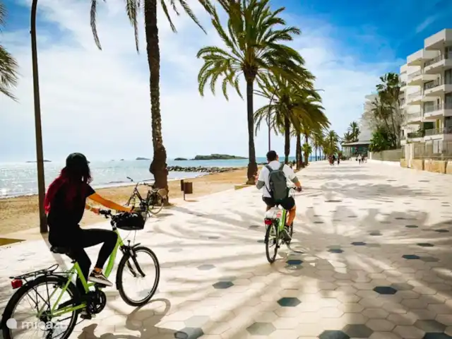 Location de Vacances Espagne, Ibiza, Cala Llonga, appartement - IBIZA Cala Llonga HIPPIE Visite : divers circuits à vélo