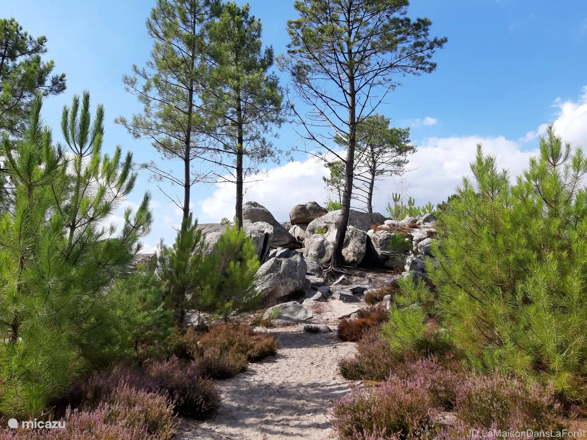 La forêt des Trois Pignons derrière la maison