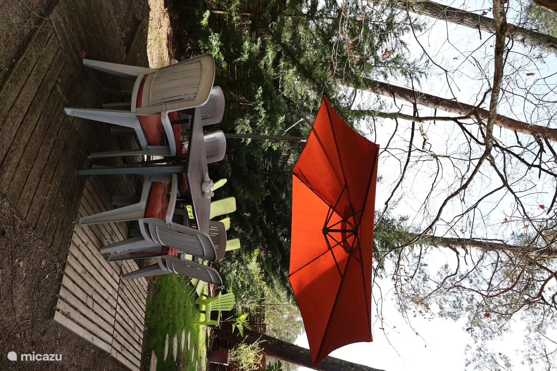 Sous les pins pour le déjeuner