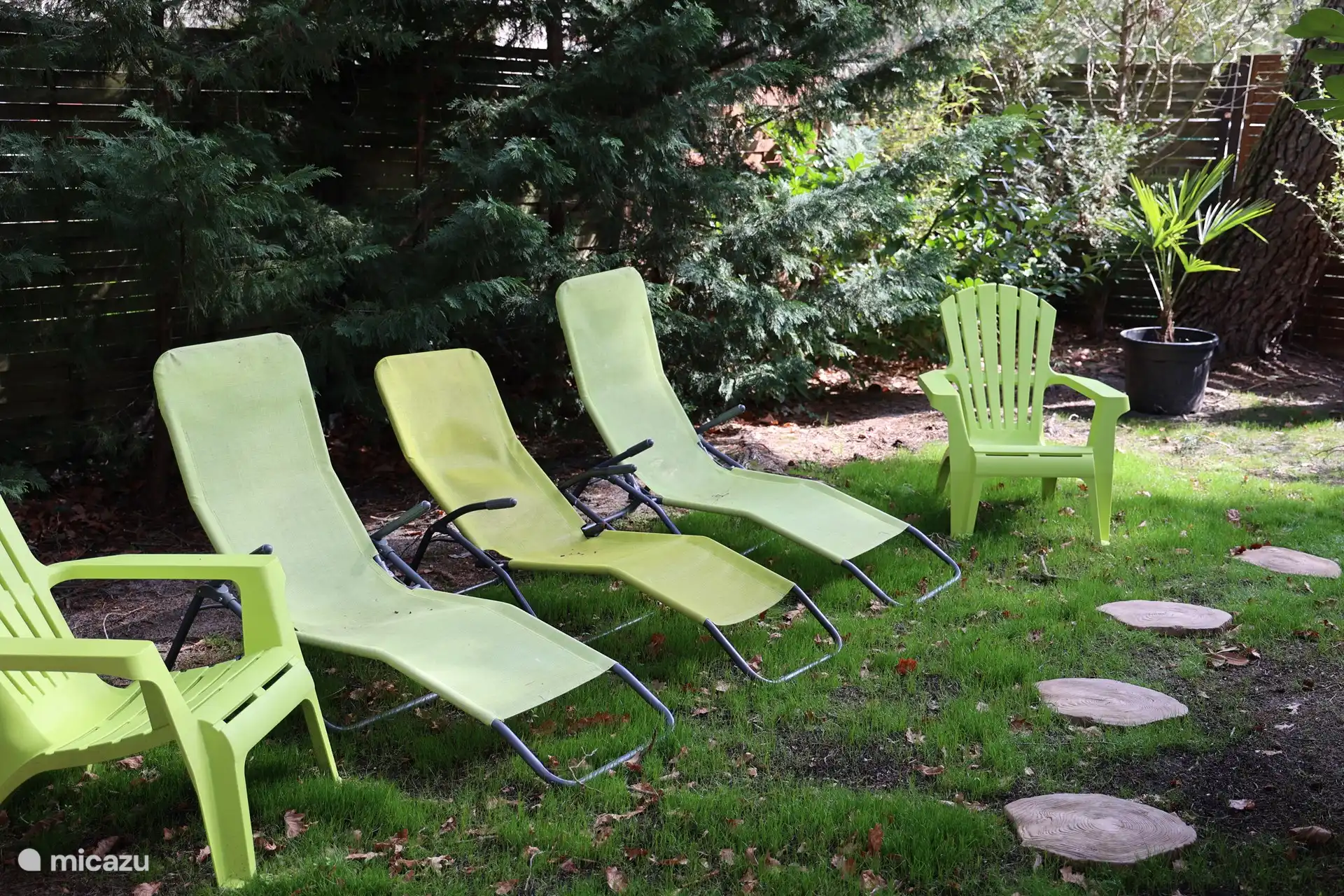 La terrasse sous les pins