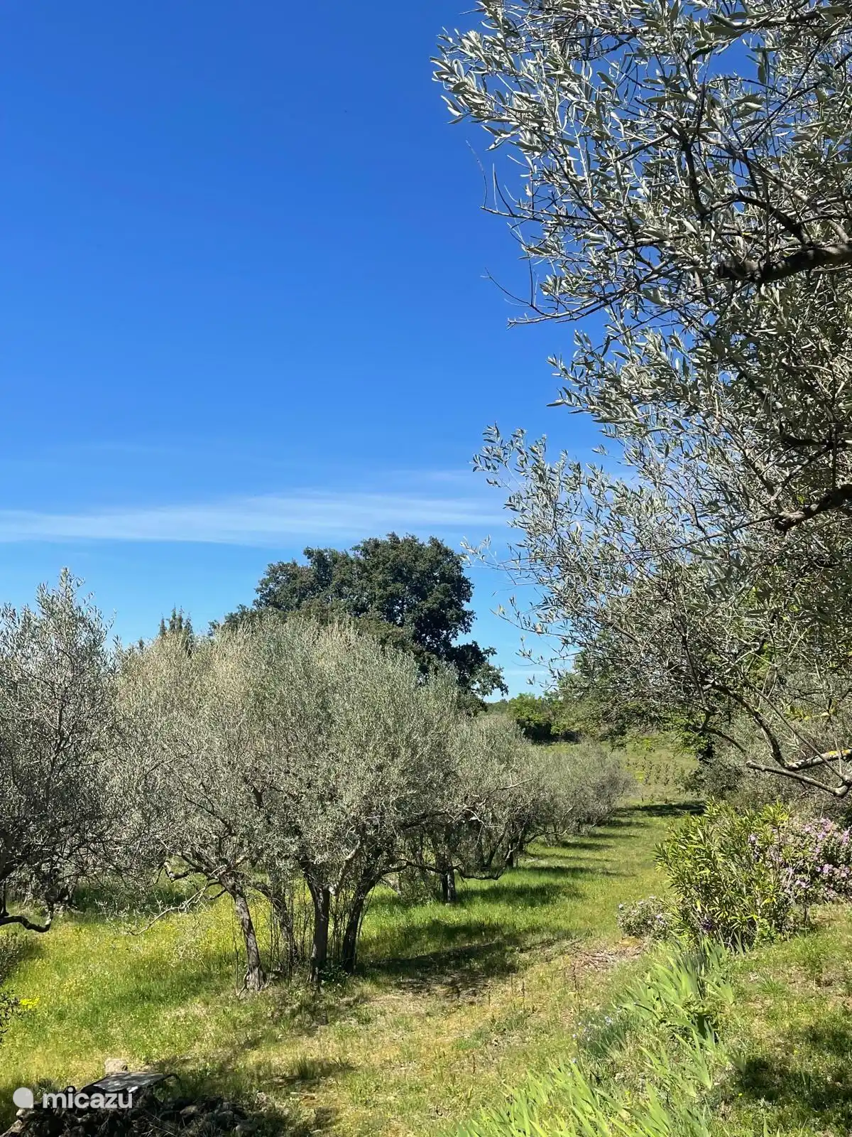 Mit einer Fläche von 1,3 Hektar können Sie immer einen schönen Spaziergang machen