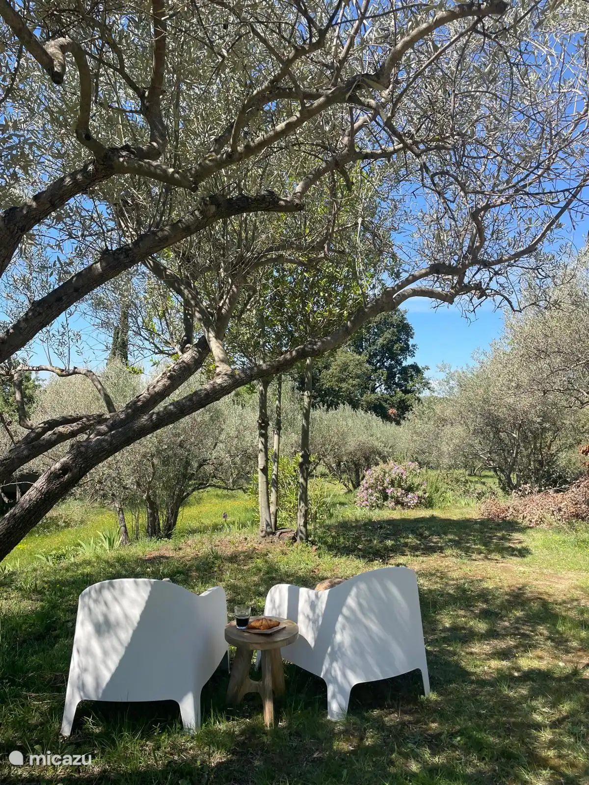Villa Verger in Frankreich, Gard, Saint-Michel-d'Euzet - Villa