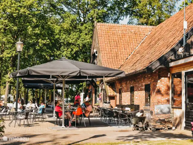 Erve Eskeboer | Pays-Bas, Overijssel, Lattrop - chalet avec une vaste terrasse.