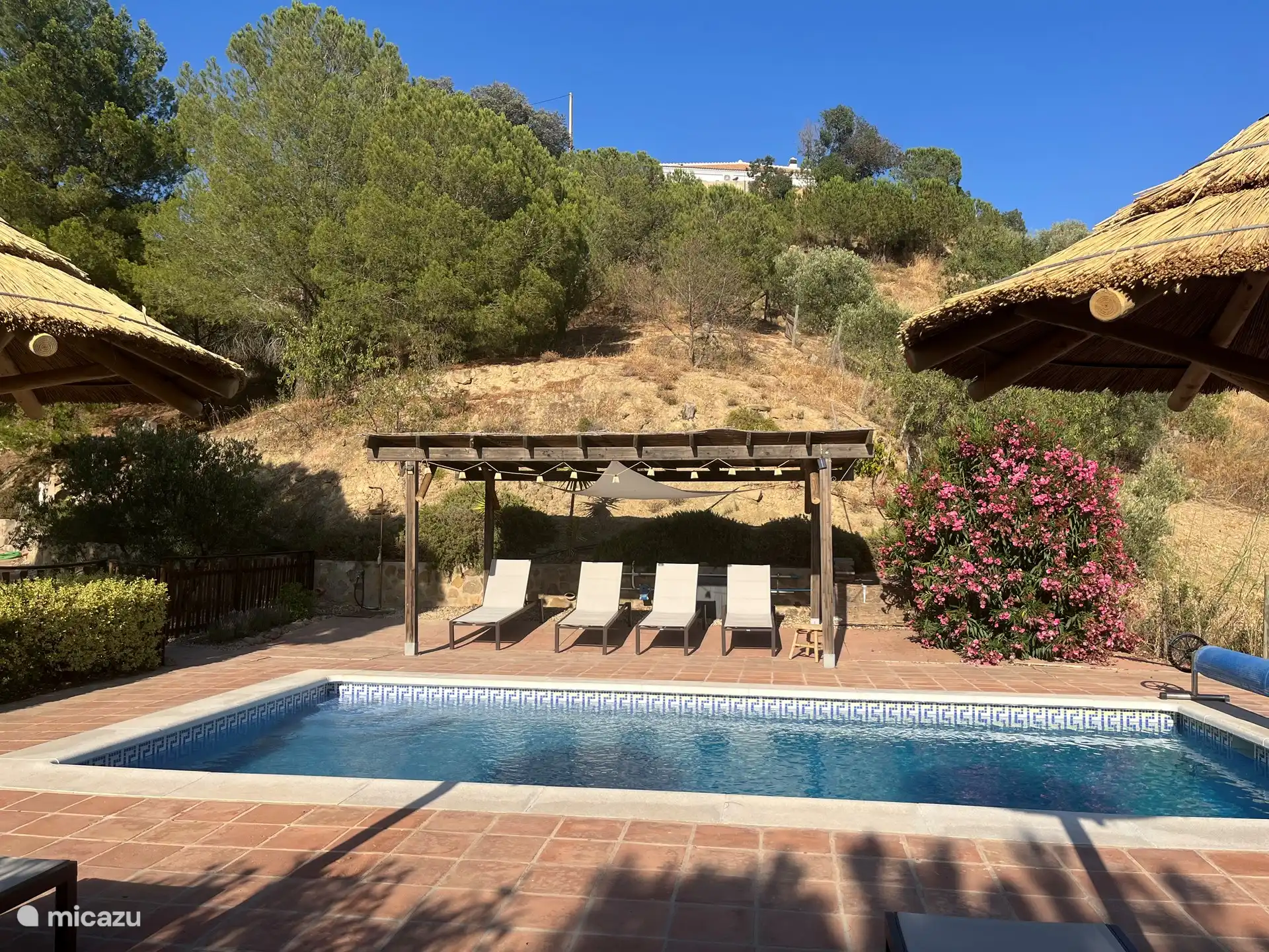 Sonnenschirme und Liegestühle.