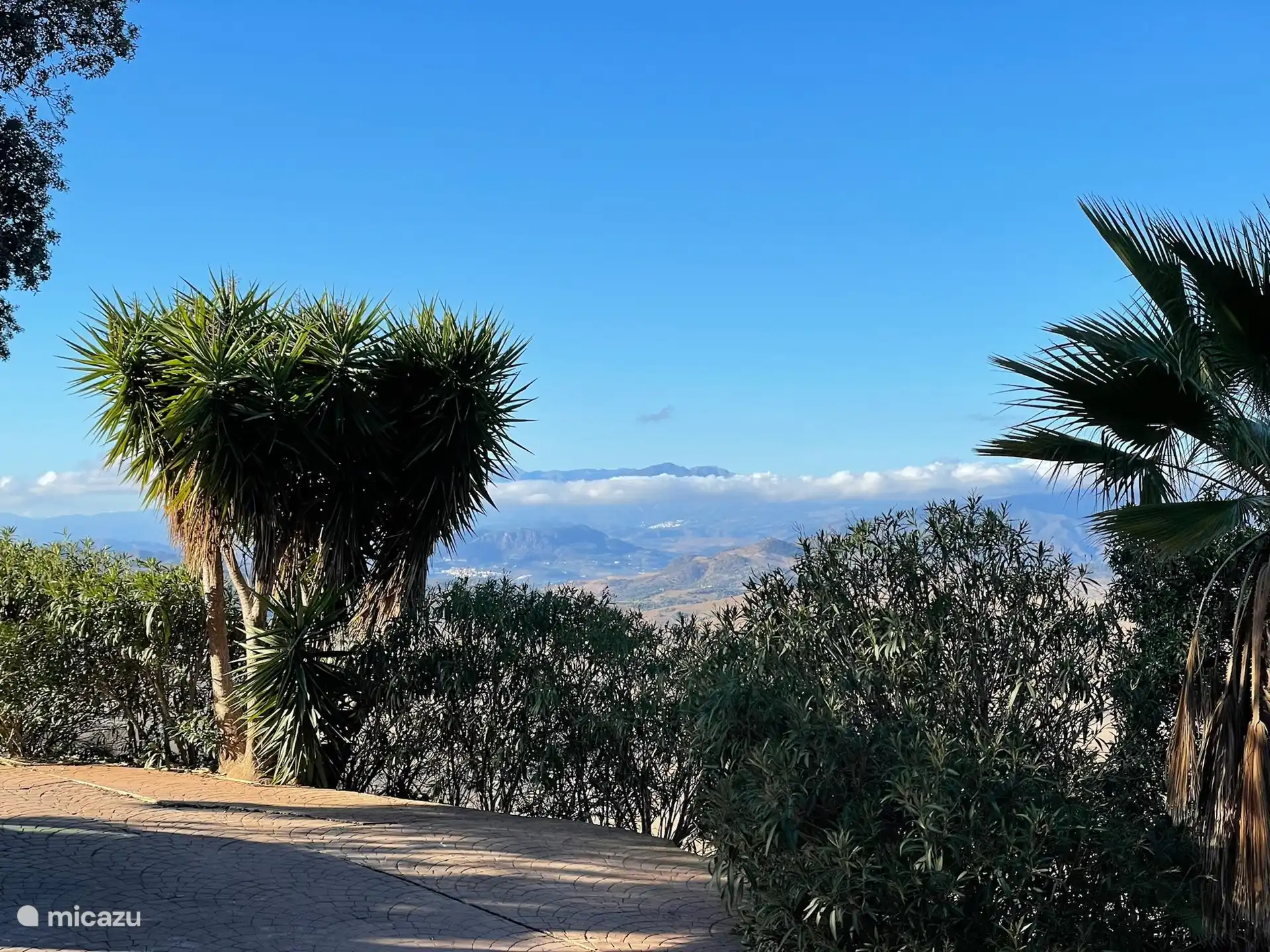 Genieße die Aussicht.